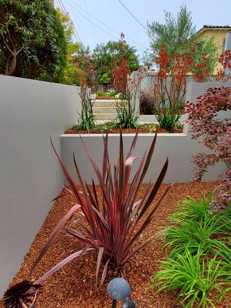 Expert landscape installation in Carmel by the Sea, CA by Carmel Point Landscapes