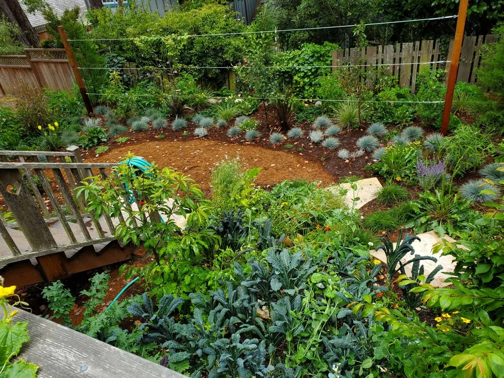 Local landscape installation in Carmel by the Sea, CA - Carmel Point Landscapes