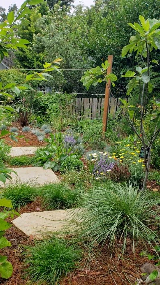 Custom outdoor landscaping in Carmel by the Sea, CA by Carmel Point Landscapes