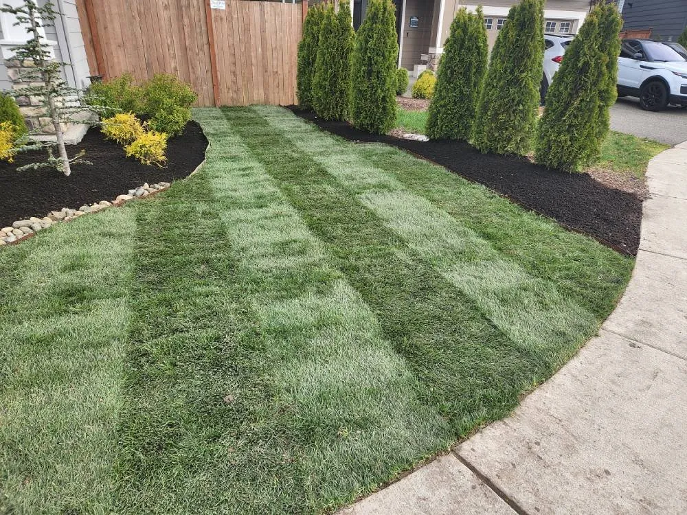 Reliable lawn care service with custom design in Everett, WA by Carmelo Landscape