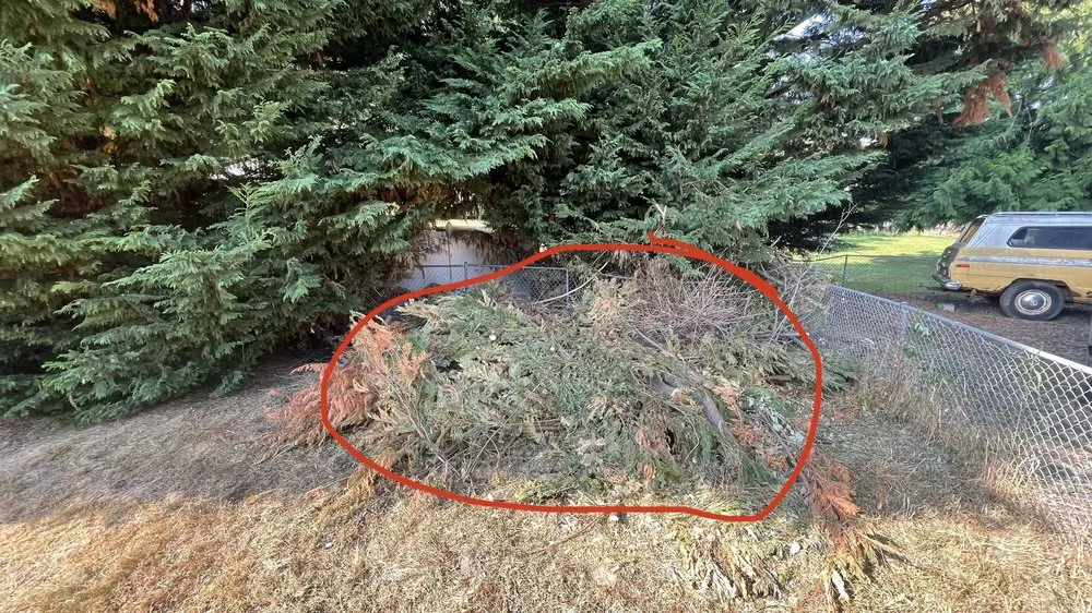 Professional garden landscaping experts serving Everett, WA - Carmelo Landscape