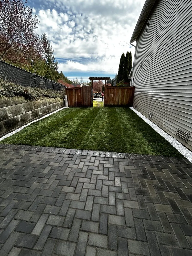 Professional yard maintenance in Everett, WA - Carmelo Landscape