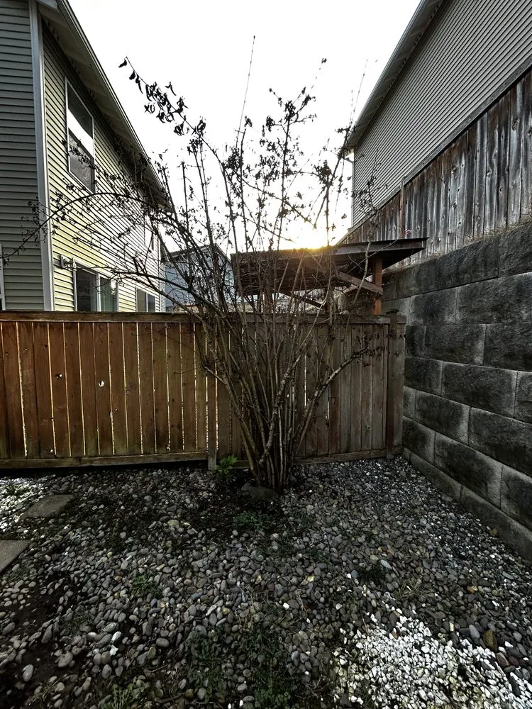 Professional lawn care service for outdoor upgrades across Everett, WA - Carmelo Landscape