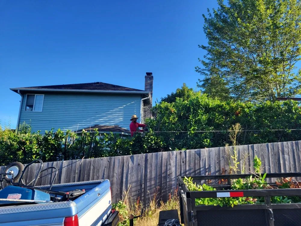 Reliable yard maintenance in Everett, WA - Carmelo Landscape