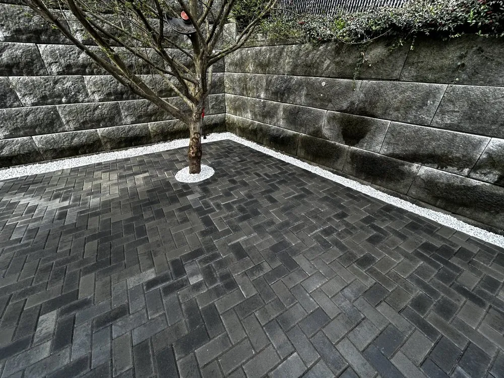 Top-rated lawn care service in Everett, WA by Carmelo Landscape