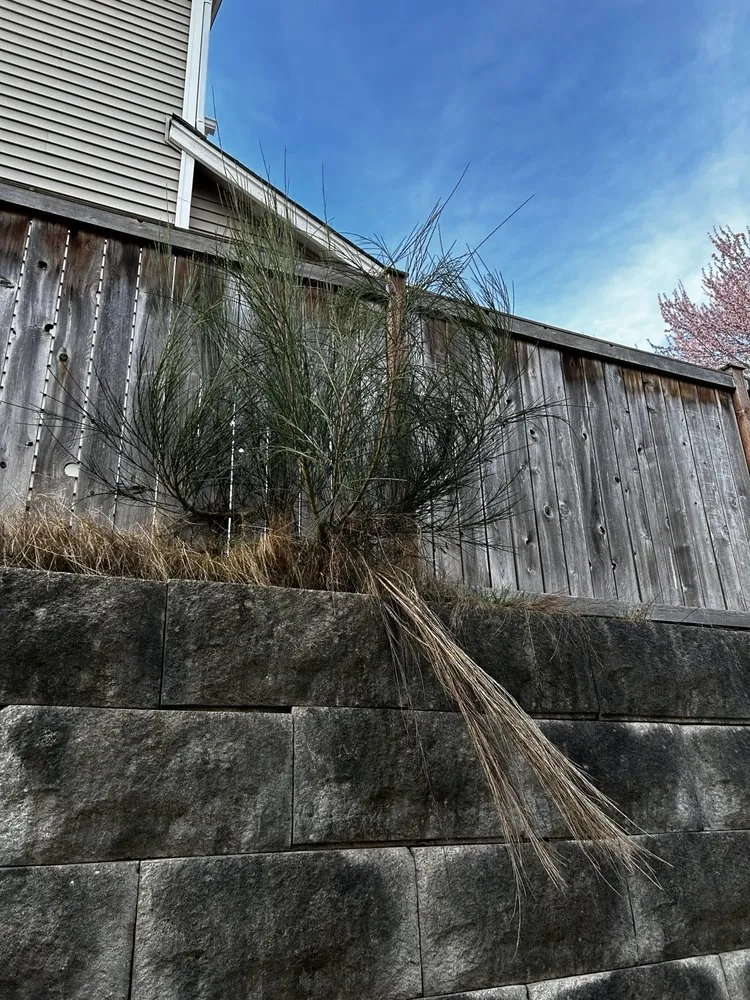 Reliable landscape installation for residential properties in Everett, WA by Carmelo Landscape