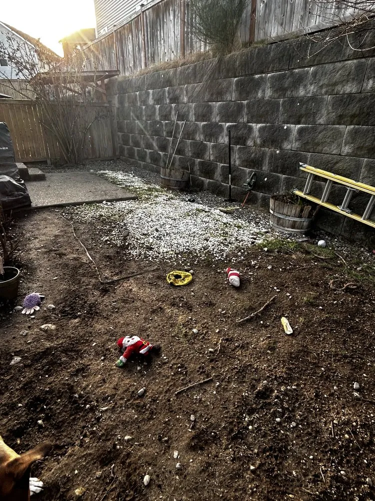 Reliable garden landscaping experts serving Everett, WA - Carmelo Landscape