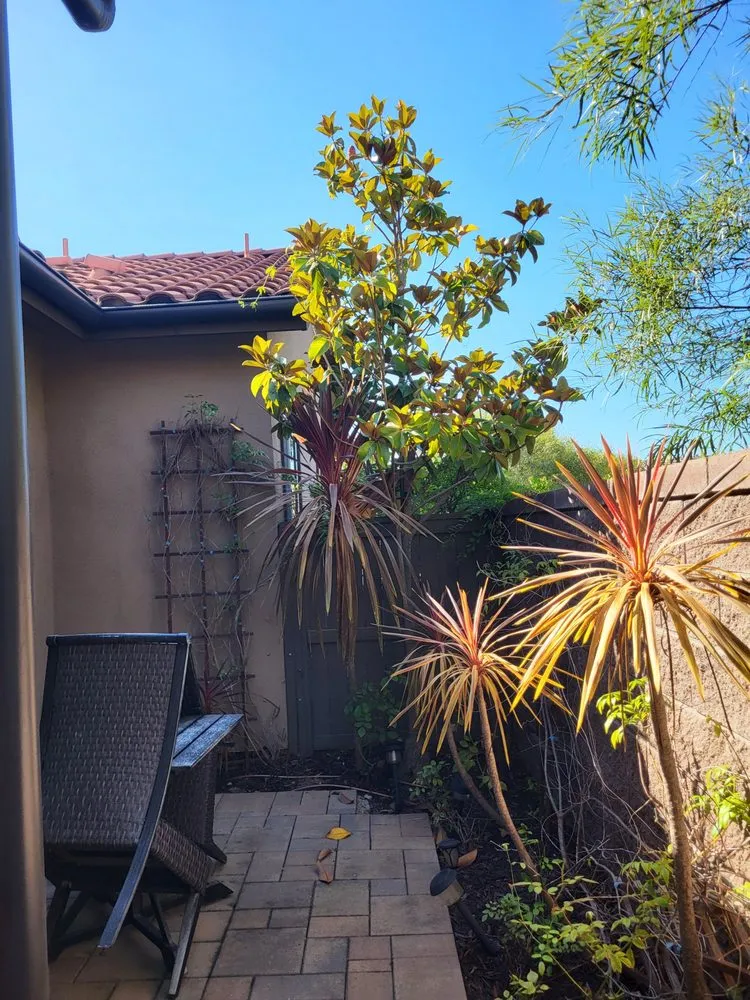 Professional outdoor landscaping in Escondido, CA by Carmelo's Crew Landscaping