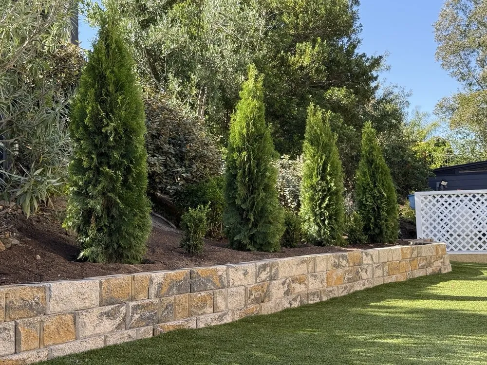 Top-rated landscaping services for outdoor upgrades in Escondido, CA by Carmelo's Crew Landscaping