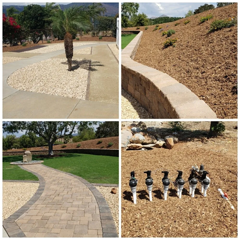 Affordable lawn mowing service in Escondido, CA by Carmelo's Crew Landscaping