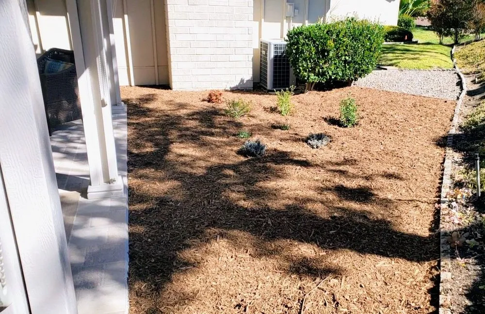Local lawn care service for homes across Escondido, CA - Carmelo's Crew Landscaping