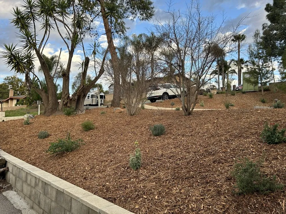 Top-rated landscape installation for residential properties across Escondido, CA - Carmelo's Crew Landscaping