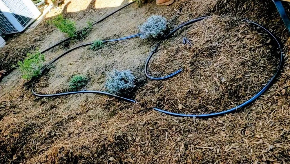 Reliable residential landscaping in Escondido, CA by Carmelo's Crew Landscaping