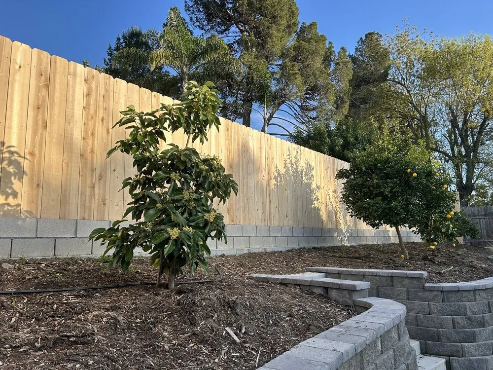 Custom lawn care service near you in Escondido, CA by Carmelo's Crew Landscaping