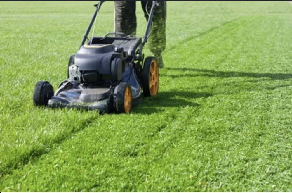 Custom landscaping services near you across Midlothian, TX - Carmen Landscaping and Lawn Service