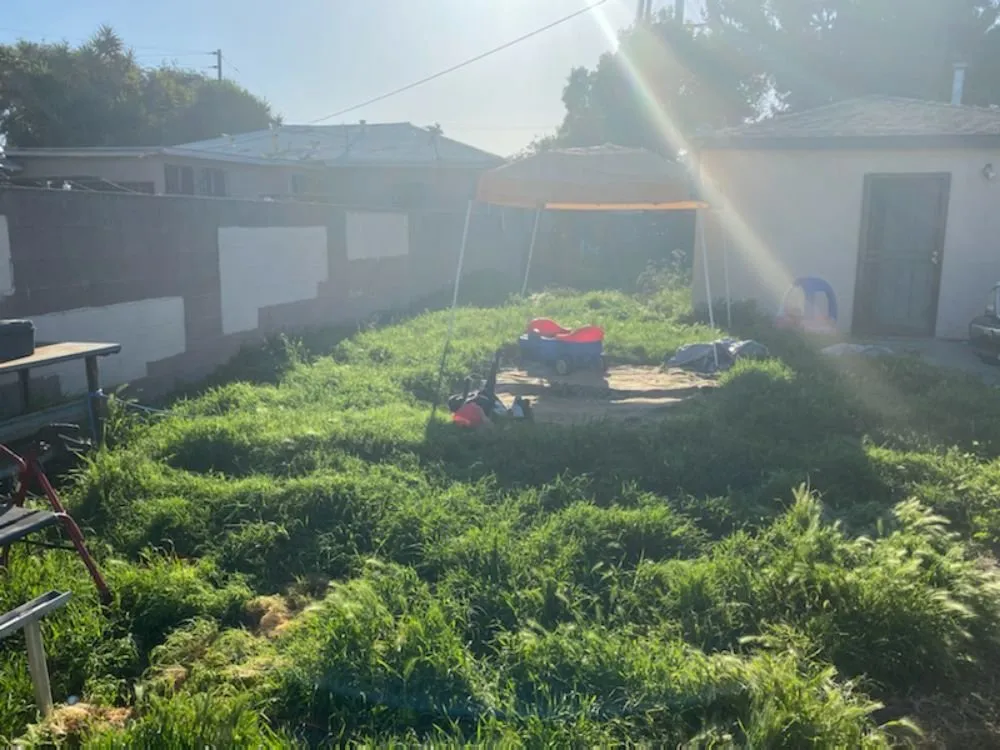 Expert garden landscaping for year-round maintenance across Downey, CA - Carmen Landscaping