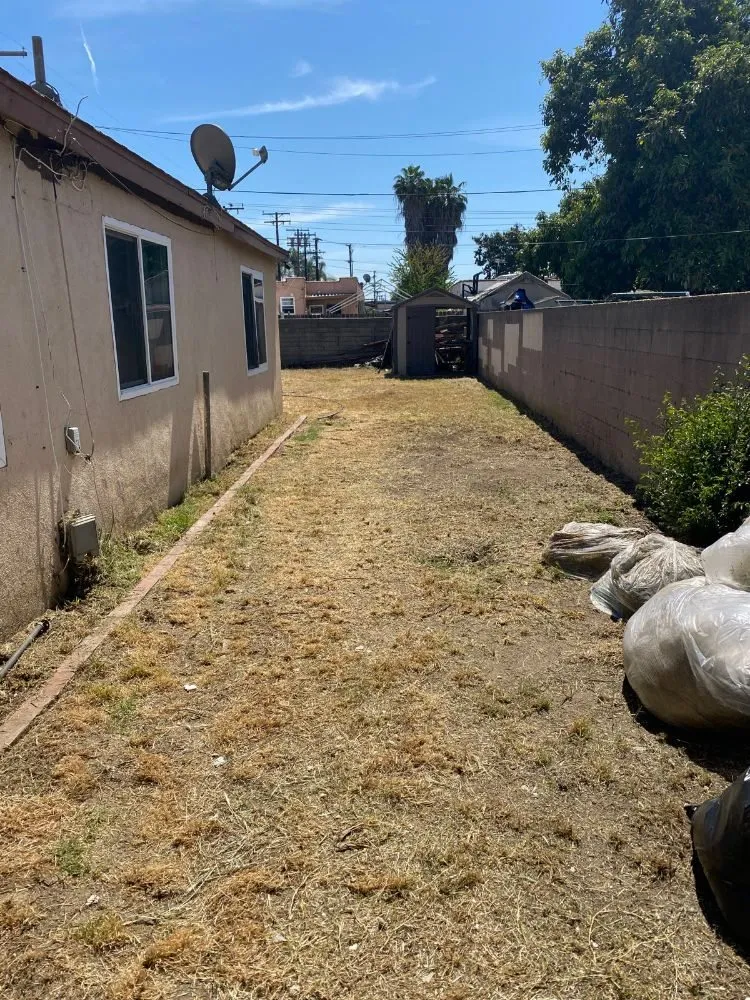 Trusted yard cleanup service experts serving Downey, CA - Carmen Landscaping