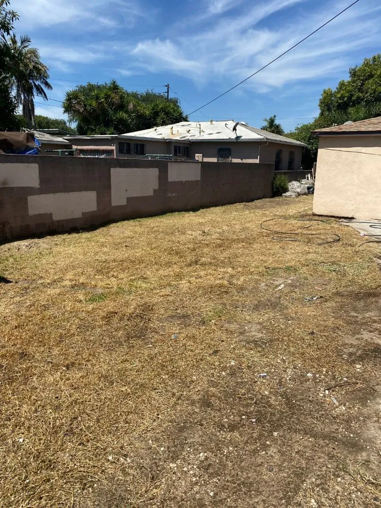 Expert landscaping services in Downey, CA - Carmen Landscaping