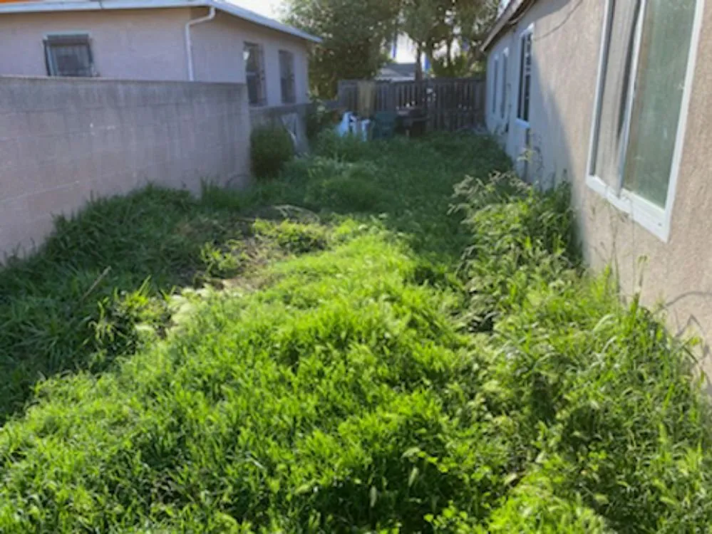 Expert landscape installation for homes in Downey, CA by Carmen Landscaping