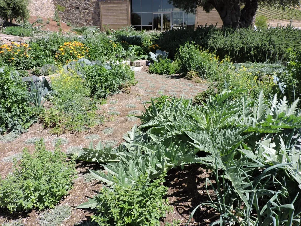 Professional lawn care service in Morro Bay, CA - Carmichael Environmetal