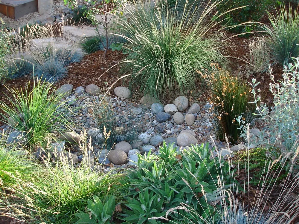 Custom yard maintenance for beautiful yards in Morro Bay, CA by Carmichael Environmetal
