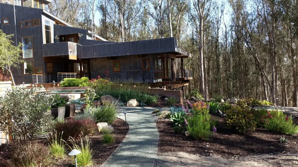 Local landscape design in Morro Bay, CA - Carmichael Environmetal