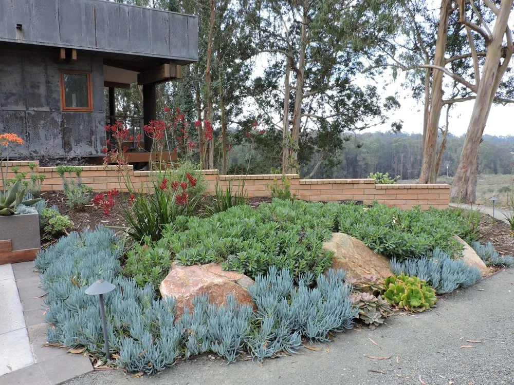 Reliable garden landscaping for year-round maintenance in Morro Bay, CA by Carmichael Environmetal