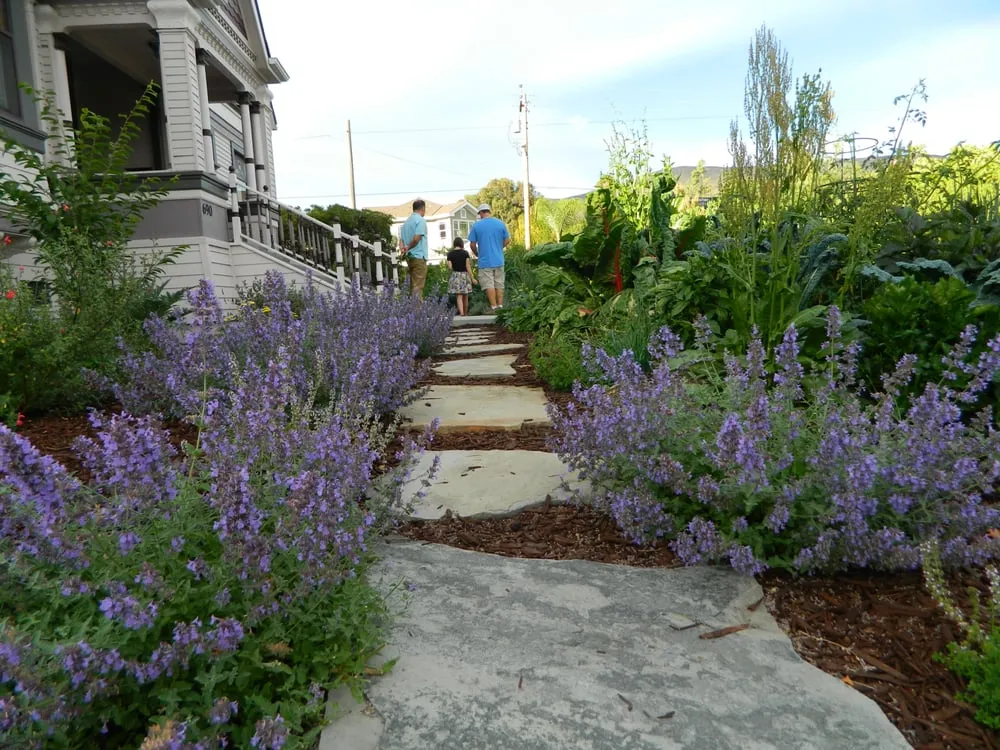 Trusted yard maintenance experts serving Morro Bay, CA - Carmichael Environmetal