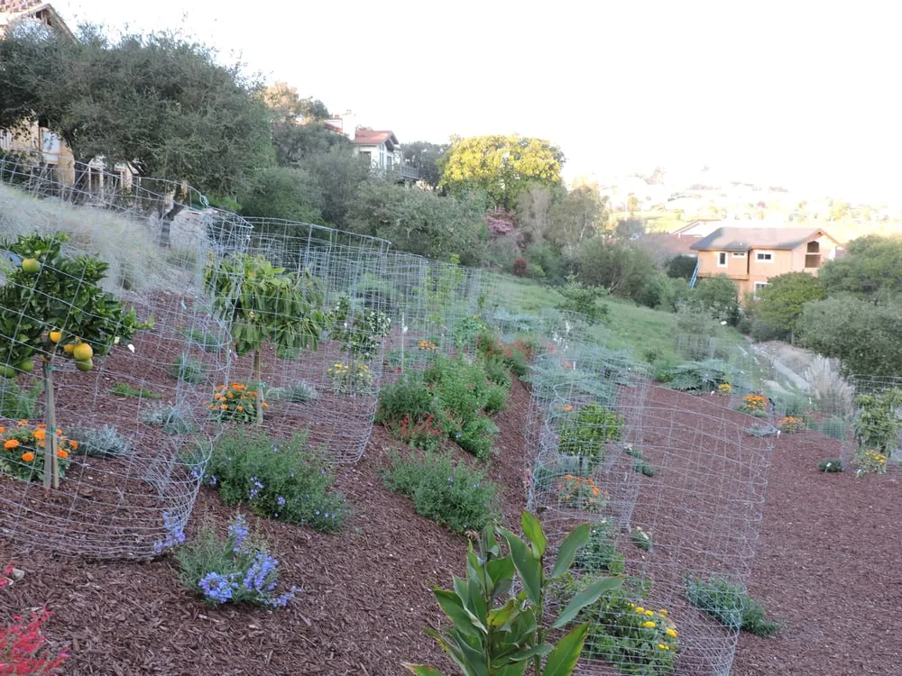 Professional landscape design for residential properties in Morro Bay, CA by Carmichael Environmetal