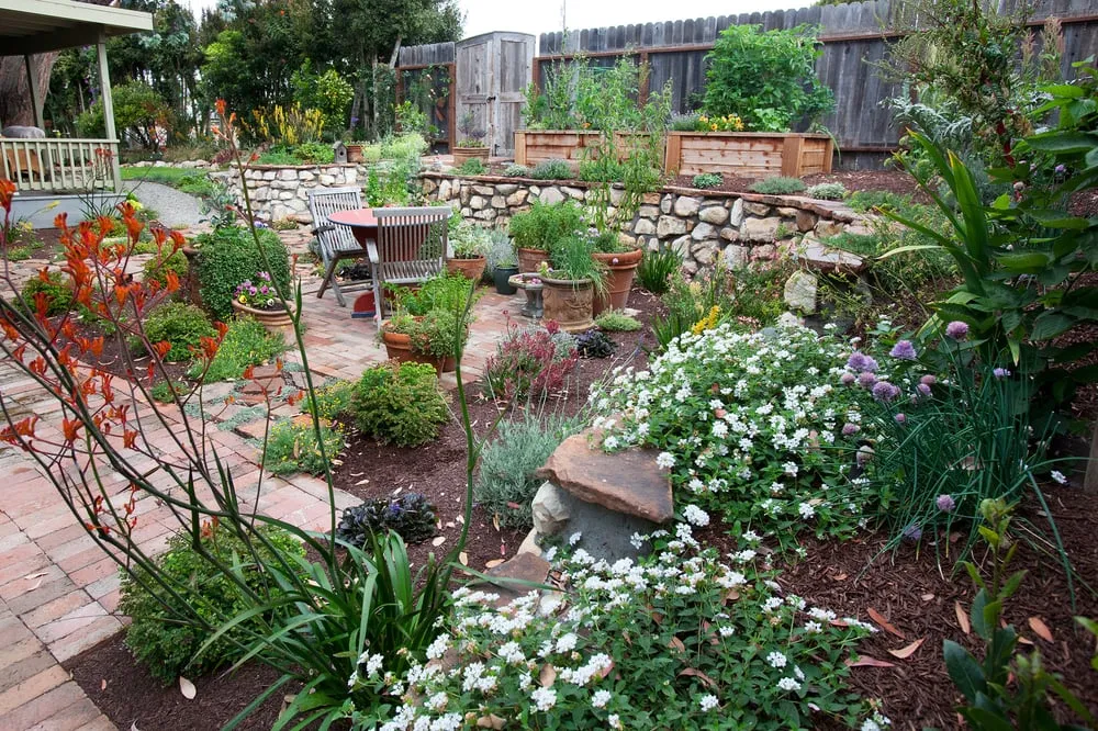 Trusted yard maintenance with custom design in Morro Bay, CA by Carmichael Environmetal