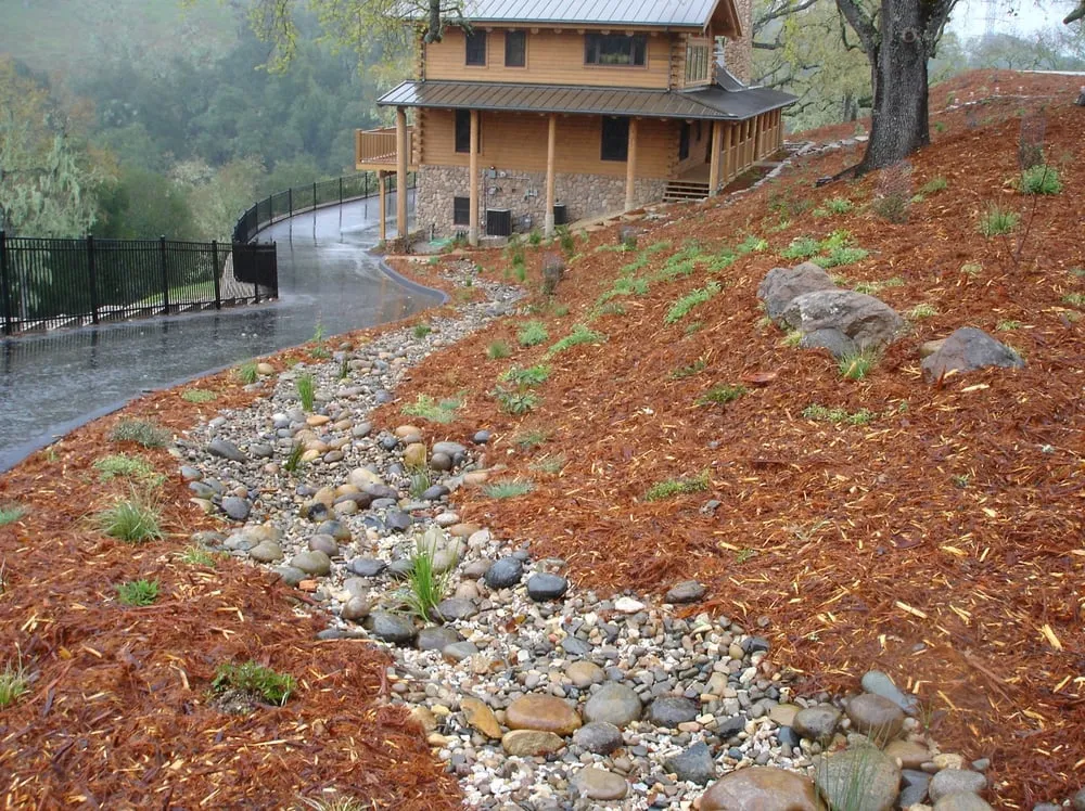 Professional outdoor landscaping in Morro Bay, CA - Carmichael Environmetal