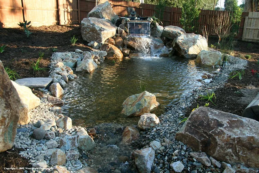 Top-rated landscaping services experts serving Morro Bay, CA - Carmichael Environmetal