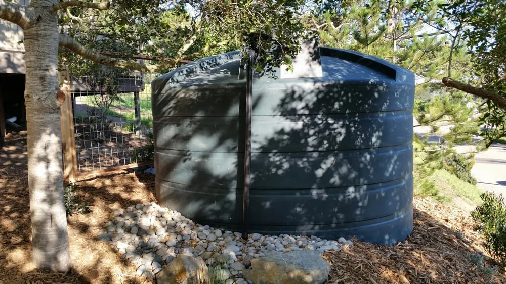 Reliable landscape design experts serving Morro Bay, CA - Carmichael Environmetal