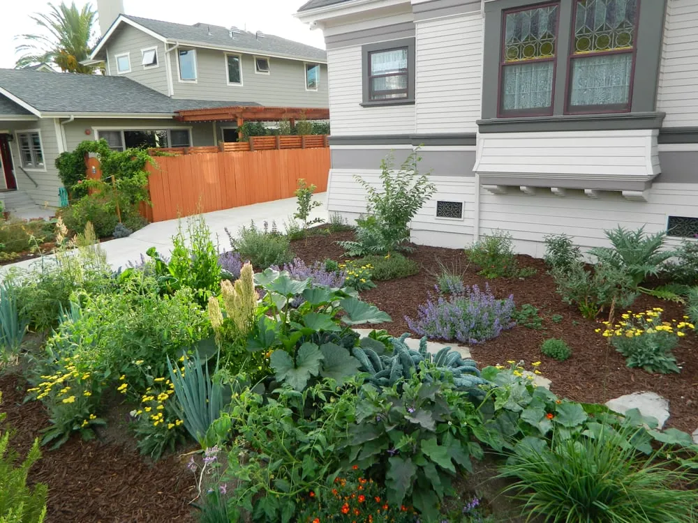 Professional residential landscaping in Morro Bay, CA - Carmichael Environmetal