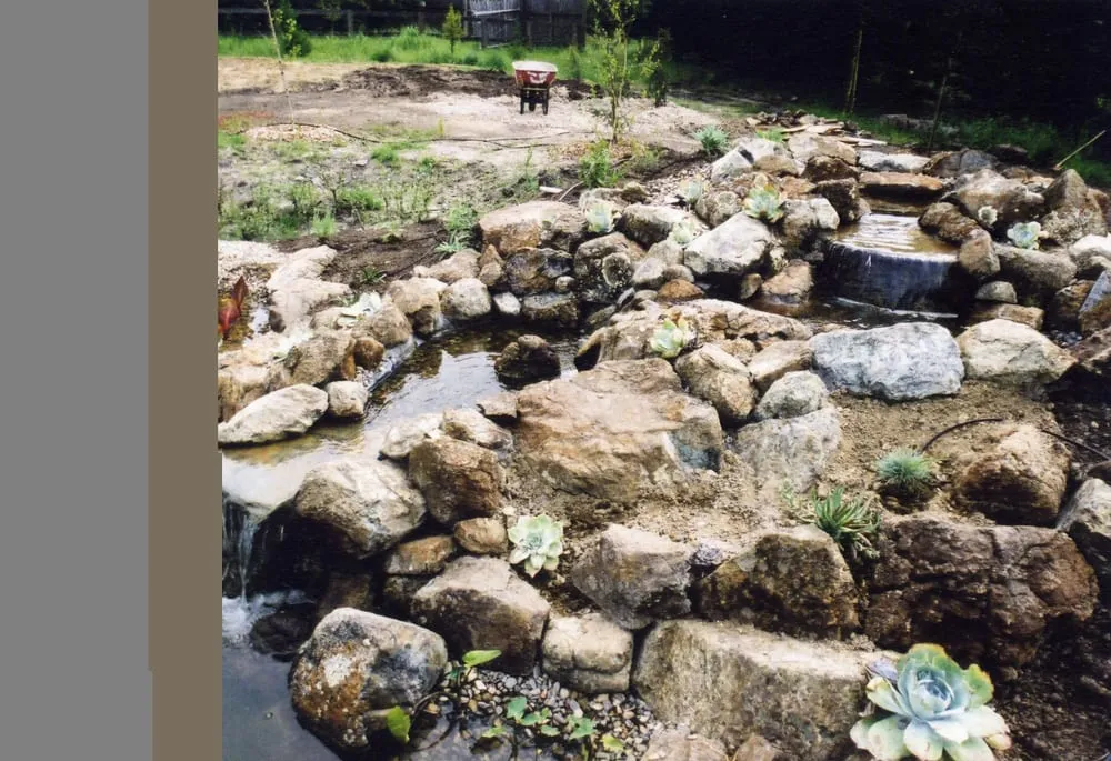 Affordable lawn mowing service with custom design across Morro Bay, CA - Carmichael Environmetal