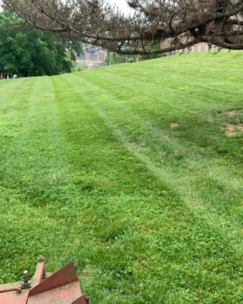 Custom landscape installation in Knoxville, TN - Carmichael’s Lawn Care