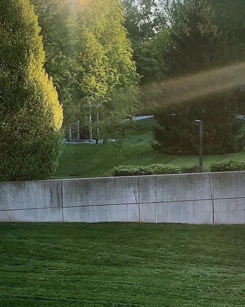 Trusted yard cleanup service experts serving Knoxville, TN - Carmichael’s Lawn Care