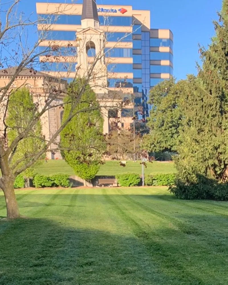 Professional landscape design for year-round maintenance across Knoxville, TN - Carmichael’s Lawn Care