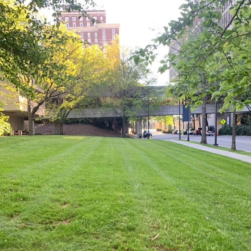 Expert landscaping services in Knoxville, TN - Carmichael’s Lawn Care