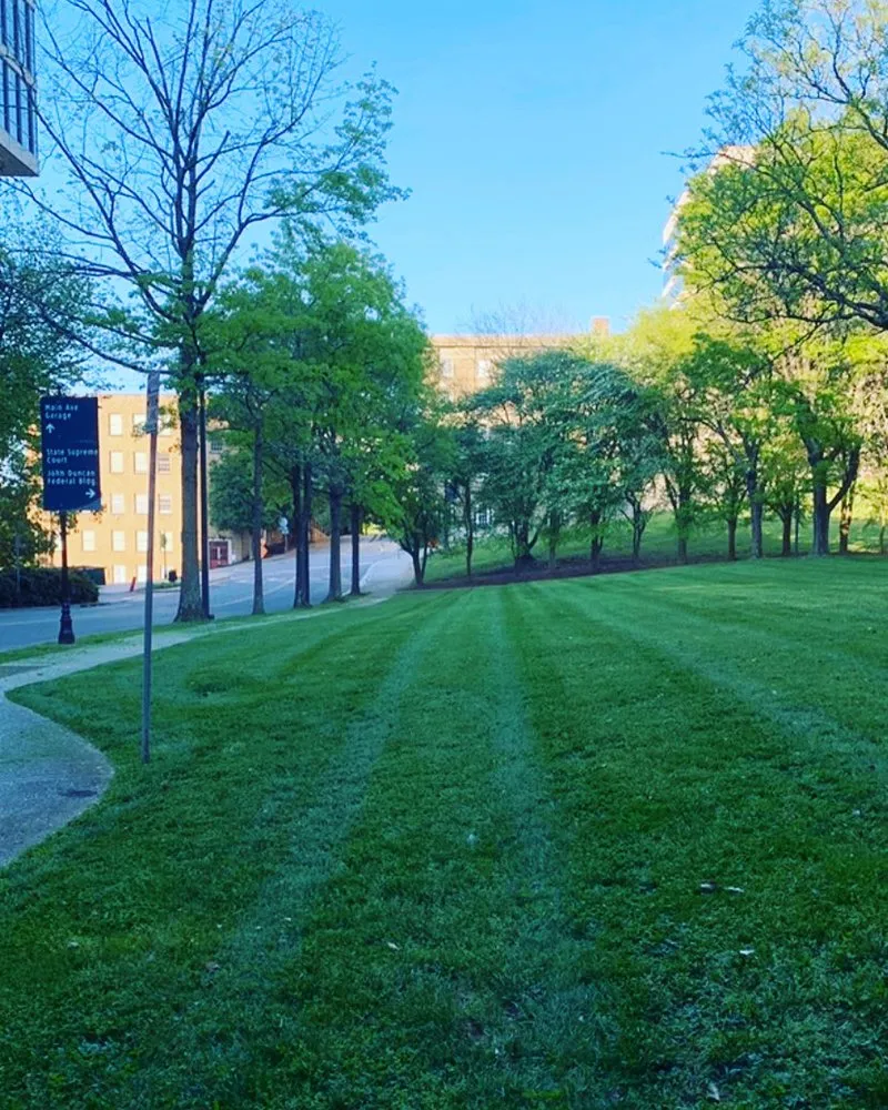 Trusted landscape installation experts serving Knoxville, TN - Carmichael’s Lawn Care