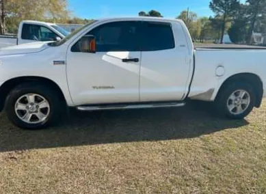 Professional outdoor landscaping in Eutawville, SC - Carmine’s Mobile Auto Detailing