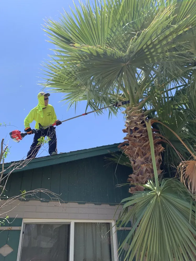 Custom yard maintenance in Coolidge, AZ - Carmona Landscaping
