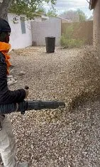 Professional residential landscaping for beautiful yards in Coolidge, AZ by Carmona Landscaping