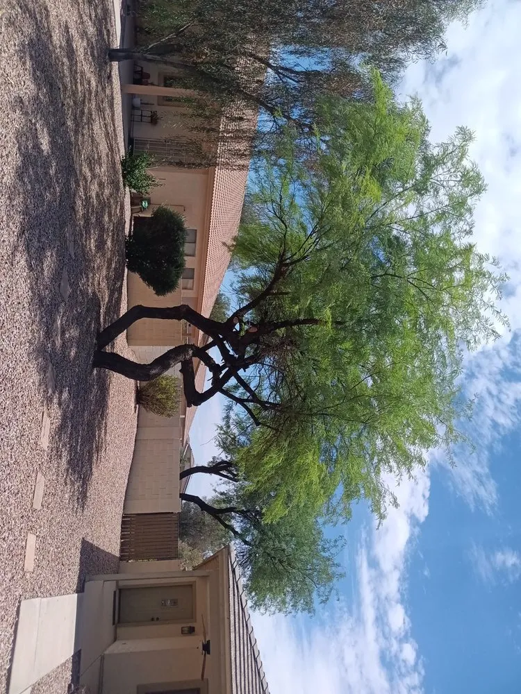 Reliable garden landscaping in Coolidge, AZ - Carmona Landscaping