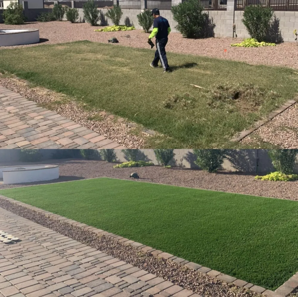 Reliable yard cleanup service in Coolidge, AZ - Carmona Landscaping