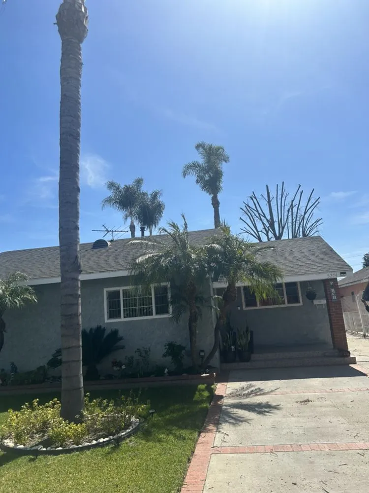 Professional landscape installation for beautiful yards in Long Beach, CA by Carmona tree care