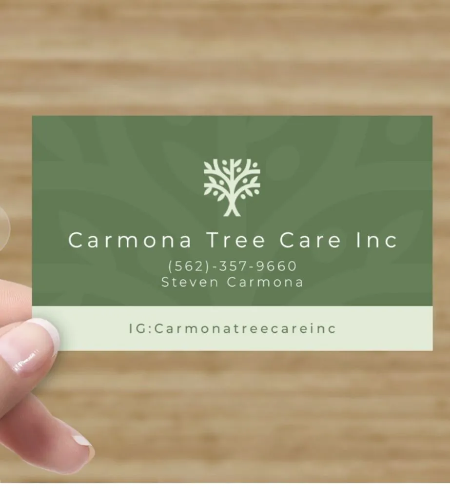 Custom garden landscaping in Long Beach, CA by Carmona tree care