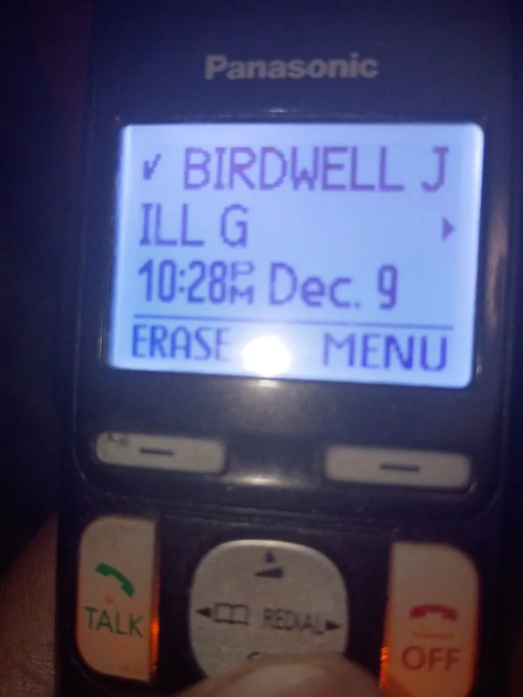 Affordable landscaping services for year-round maintenance in Long Beach, CA by Carmona tree care