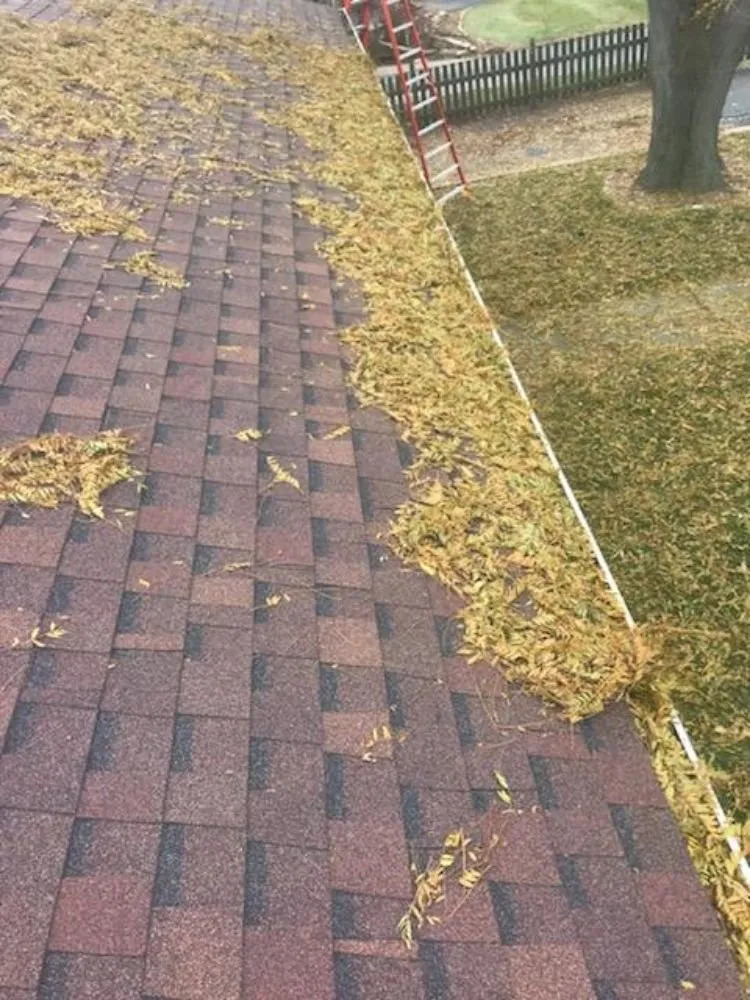 Top-rated garden landscaping in Joliet, IL - Carmona's Landscaping