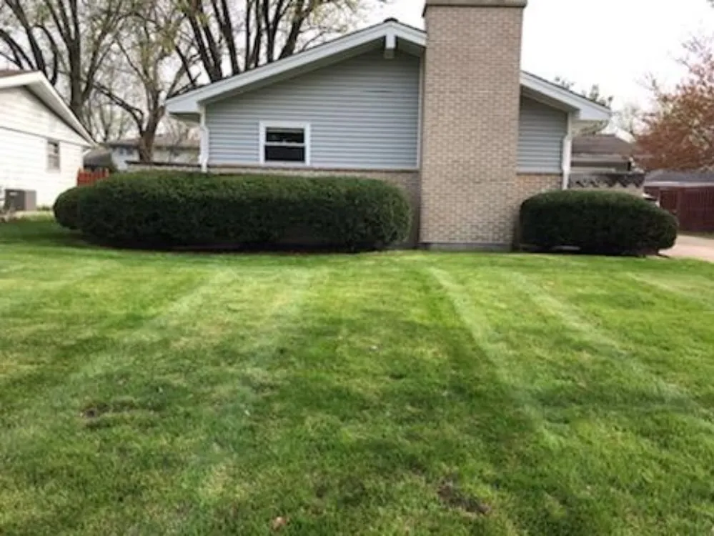 Affordable landscape design in Joliet, IL - Carmona's Landscaping